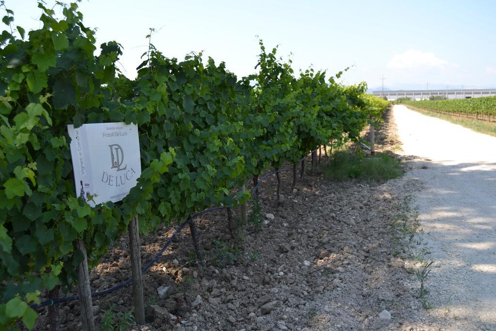 Agriturismo De Luca Mozzagrogna Екстер'єр фото